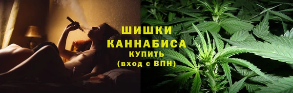дмт Вяземский