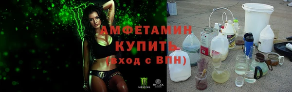 шишки Вязьма