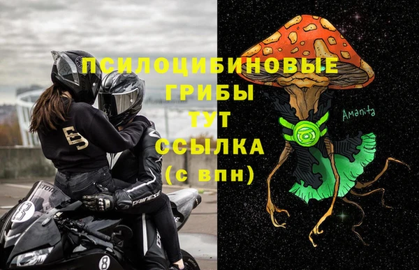 шишки Вязьма