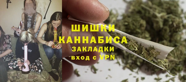 дмт Вяземский