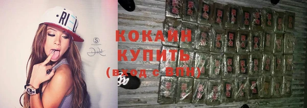 шишки Вязьма