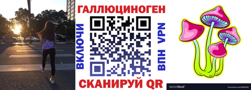 Купить закладки  Котово  Галлюциногенные грибы Psilocybine cubensis 